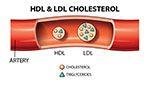 beberapa sumber makanan penurun kolesterol